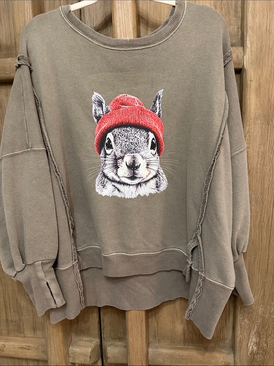 Free People Tops - Free people Sweatshirt Squirrel we the free Camden custom